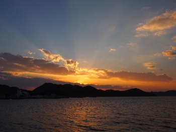 夕方の散歩