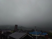 今朝は雨 2024/06/18 07:59:35