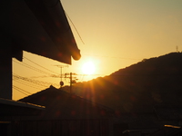 今日から生活習慣の改善だ 2024/06/14 06:54:53