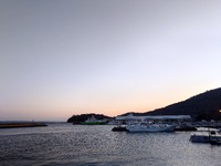 今朝は、時計を見間違えた 2025/02/05 08:05:57