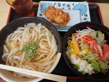 うどんと野菜サラダ