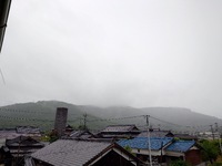 今朝は雨 2024/06/09 07:52:05