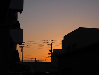 いいお天気だ。