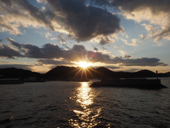 今夕の散歩