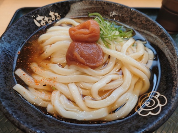 梅冷かけうどん