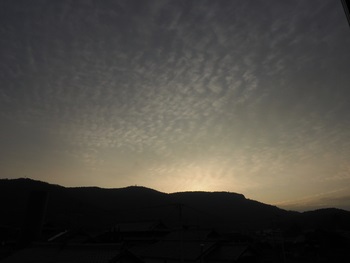今朝は、曇り空
