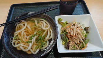 軽めのお昼うどん