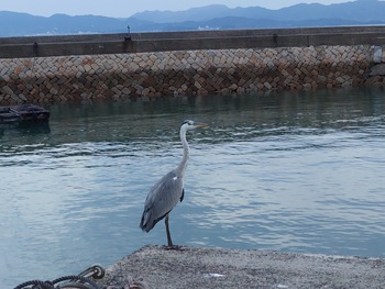 新しい一週間の始まりは曇り空