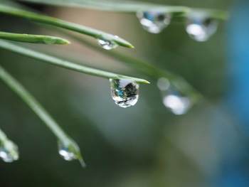 雨が止んだら