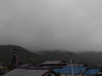 今朝は雨 2024/10/03 08:30:04