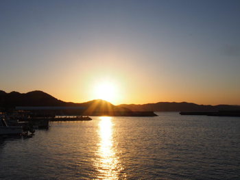 夕方ののんびり散歩
