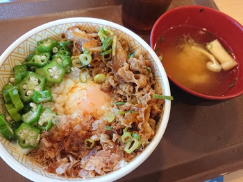 朝エネチャージ