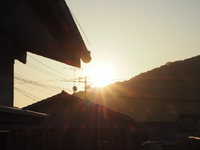 今朝は陽射しの強い快晴 2024/06/19 07:33:14