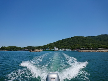 本日の釣果。