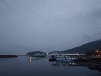 新しい一週間の始まりは曇り空 2025/02/03 08:49:11