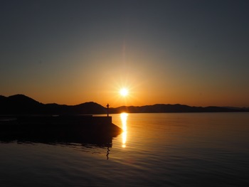 夕方の散歩
