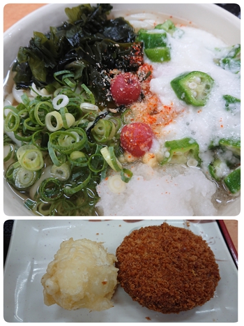 おくらトロロひやかけうどん