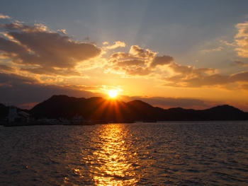 夕方の散歩