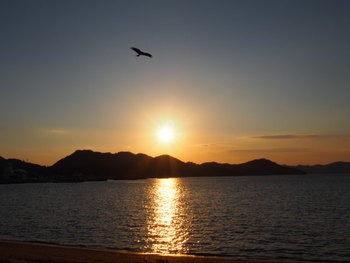 島の夕方の風景