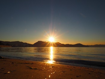 夕方の散歩