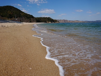 砂浜を散歩