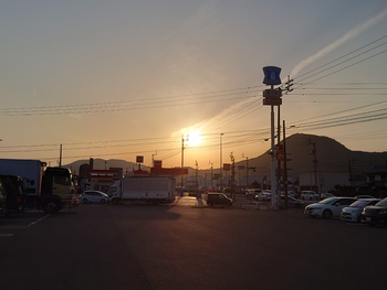 夕陽が眩しい