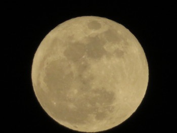 今夜も満月