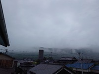 梅雨時期はムシムシ 2024/06/30 08:55:58