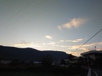 今朝はお墓参りから 2024/11/05 08:38:46
