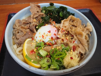 久々の綿谷うどん