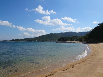 砂浜を散歩