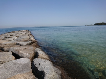 今日も砂浜散歩