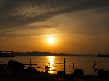 夕方の散歩