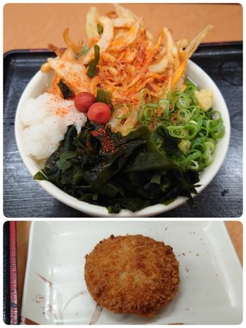 桜えびのかき揚げのせたうどん