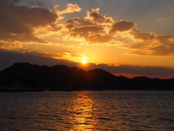 夕方の散歩