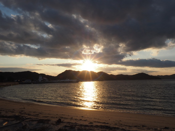 今夕の散歩