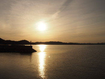 ちょっと早めの夕方の散歩