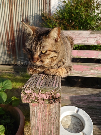 高松へ帰ります。