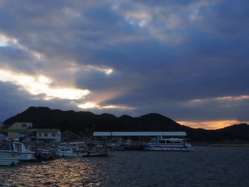 夕方の散歩