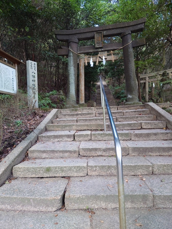 釣りに行けないので