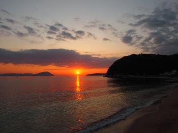 ダルマ朝陽、出ました