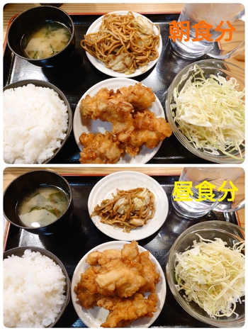 朝昼兼用エネチャージ