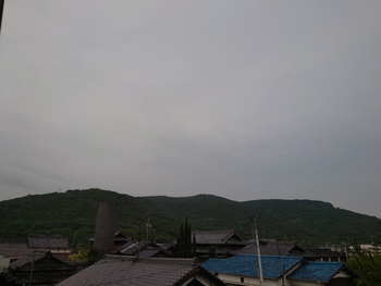 島の朝は、しとしと雨