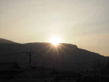 朝陽に感謝