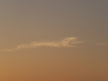 へび雲？