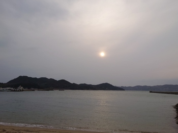 夕方ののんびり散歩