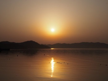 夕方の散歩