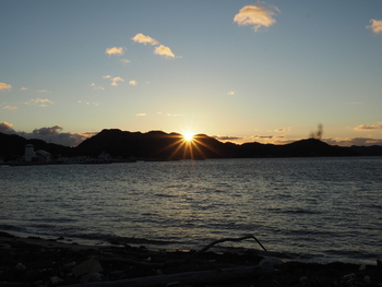 いつもの夕方の散歩