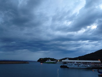 雨上がりのウォーキング