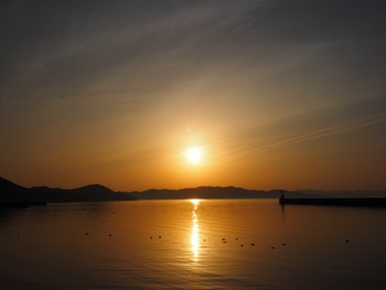 夕方の散歩